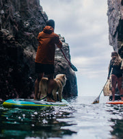 Beginners Guide To Stand Up Paddleboarding