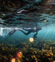 Shetland's Wild Waters | Henley Spiers