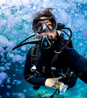 Jellyfish Blooms: A Beautiful Warning