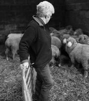 Lesley Prior On Our Bowmont Merino Flock