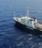 Esperanza: My Greenpeace Voyage