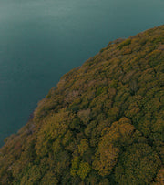 No Trees No Seas