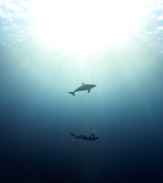 Blue Friday 2024: Purchases With Purpose