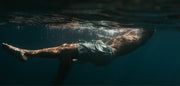 Finisterre