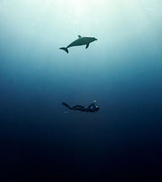 Finisterre Black Friday