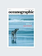 Oceanographic, Issue 17