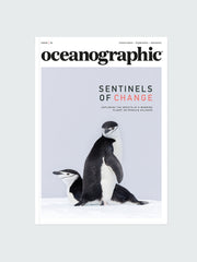 Oceanographic, Issue 32