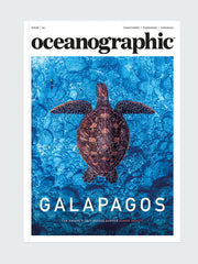 Oceanographic, Issue 36