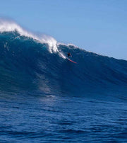 Shearwater Wetsuits