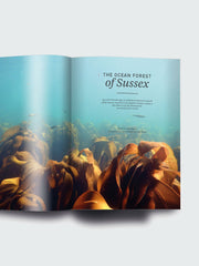 Oceanographic, Issue 15