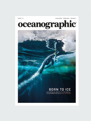 Oceanographic, Issue 14