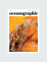 Oceanographic, Issue 15