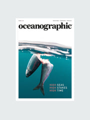 Oceanographic, Issue 23